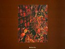 McCarthy - I Am A Wallet (Vinyl)
