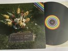APHEX TWIN “Girl / Boy” Warp 1996 12” Vinyl EP