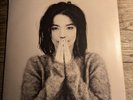 Björk - Debut - 12