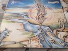 Pacific Eardrum Beyond Panic rare vinyl record lp