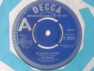 Mod, Beat THE DIMPLES The Love Of A Lifetime/DEMO Decca F.12537 (1966) (NM copy)