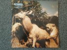 Interpol Our Love to Admire First Pressing Double Vinyl Record