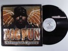 BIG PUN Endangered Species LOUD 2XLP VG+/VG++ j
