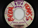 Garage Psych 45 - Substantial Evidence - Death Angel/Please Walk - Groovy Grape