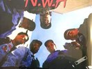 N.W.A – Straight Outta Compton 2017 reissue 180g LP Album vinyl record sealed