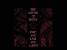 SISTERS OF MERCY - First And Last And Always (140g)
