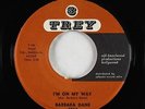 R&B Soul Popcorn 45 - Barbara Dane - I'm On My Way - Trey - VG++