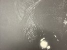 cocteau twins vinyl 1985