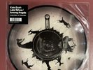 Kate Bush Lake Tahoe Limited Edition 10” Picture Disc