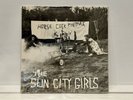 The Sun City Girls - Horse Cock Phepner - Vinyl Record, Rare, Great Condition