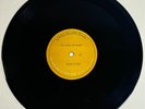 1965 BARRY & PAUL RYAN Test Acetate Record 10” “You Broke My Heart” RARE Pop Duo