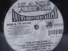 KANE & ABEL Am I Brothers Keeper NO LIMIT/PRIORITY P1-50720 2XLP SEALED j