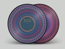 RARE GLASS ANIMALS Zaba Zoetrope 2LP Limited Edition Vinyl Records Brand New