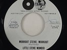 Little Stevie Wonder 