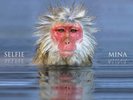 MINA - Selfie (2024) LP audiophile vinyl pre-order