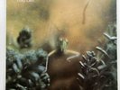 Steely Dan  “Katy Lied” LP/ABC Records ABCD-846 (VG+) 1975