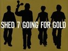 SHED SEVEN - Going For Gold: The Greatest Hits (reissue) - Vinyl (2xLP)