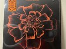 Siouxsie And The Banshees - All Souls Vinyl Record
