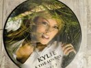 Kylie Minogue All the Lovers Part 3 Picture Disc Vinyl Single 12‘ Rare Promo