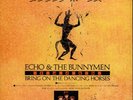 Echo and the Bunnymen Bring On the Dancing Horses 7
