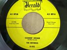 GREAT DOO WOP 45 BY THE FANTASTIC 