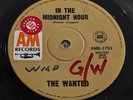 The Wanted In The Midnight Hour OZ '67 Hard Psych Garage Funk SAMPLE 45 EX
