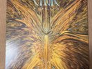 Cynic - Focus - Black Vinyl Record LP - Roadrunner Remastered Reissue 2013