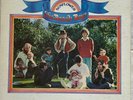 The Beach Boys - Sunflower - 1970 - Vinyl LP Gatefold - Pitman Pressing