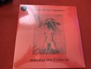 FIELDS OF NEPHILIM BURNING THE FIELDS RSD 2024 LIMITED SEALED VINYL LP FREE POST