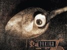 Pixies - Pixies At The BBC - Music & Performance - Vinyl NEW Sealed