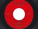 LOW RIDER/NORTHERN SOUL  45    The Gallahads  Sea Crest 6005