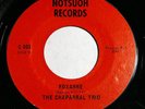 CHAPARRAL TRIO Roxanne 45 rpm RARE Houston Texas Garage Psych Fuzz LISTEN HEAR