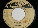 TROY DODDS The Real Thing/ Try My Love 45 Original RARE NORTHERN SOUL PROMO Hear
