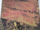 AC/DC  LP   