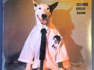 RICK SPRINGFIELD Working Class Dog SEALED 1981 US VINYL LP Gold Stamp Promo RARE