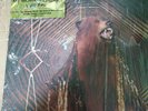 My Morning Jacket - It Still Moves 2 Records New without plastic.