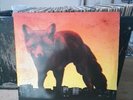 Prodigy vinyl / The Day Is My Enemy / Brand New
