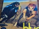 Blur Parklife Vinyl