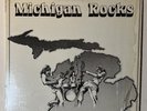 Michigan Rocks Seeds & Stems LP 1977 Seger Stooges MC5 Frost Nugent Dukes Ryder
