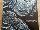 The Sundays LP Reading Writing And Arithmetic UK Rough Trade 1st Press NEAR MINT