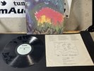 Meat Puppets - II LP First Pressing SST 019 Album Vinyl FAST USA SHIP  Lake Fire
