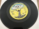 Too Much “Who You Wanna Be” 7” On Lightning Records
