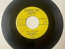 Willie Mitchell Four Kings DOOWOP 45 Walking At Your Will STOMPER TIMEVG++  HEAR