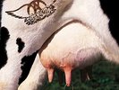 Get A Grip by Aerosmith (Record, 2017)