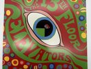 Psychedelic Sounds of the 13th Floor Elevators - Sundazed  Mono Reissue LP - NM