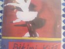 Bikini Kill New Radio/Rebel Girl 7