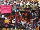 yeah yeah yeahs Fever To Tell Picture disc vinyl