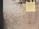 Bon Iver For Emma Forever Ago Vinyl Record VG+/VG CAD 2809 2008 1st Press