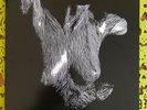Oceansize - Self Preserved While the Bodies Float Up - Vinyl Album LP 12