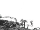 Hot Dreams by Timber Timbre (Record, 2014) NEW (LP)